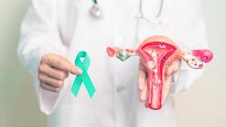 Understanding The Risk Factors Of Cervical Cancer: A Healthcare Perspective