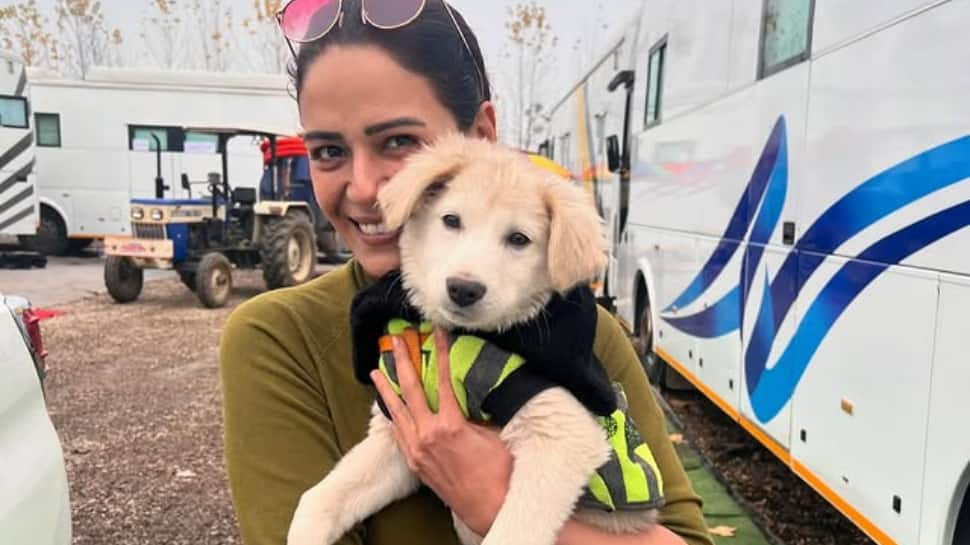 Mona Singh And Kohrra Season 2 Team Get Adorable Addition On Set: Meet Rani, The Puppy!