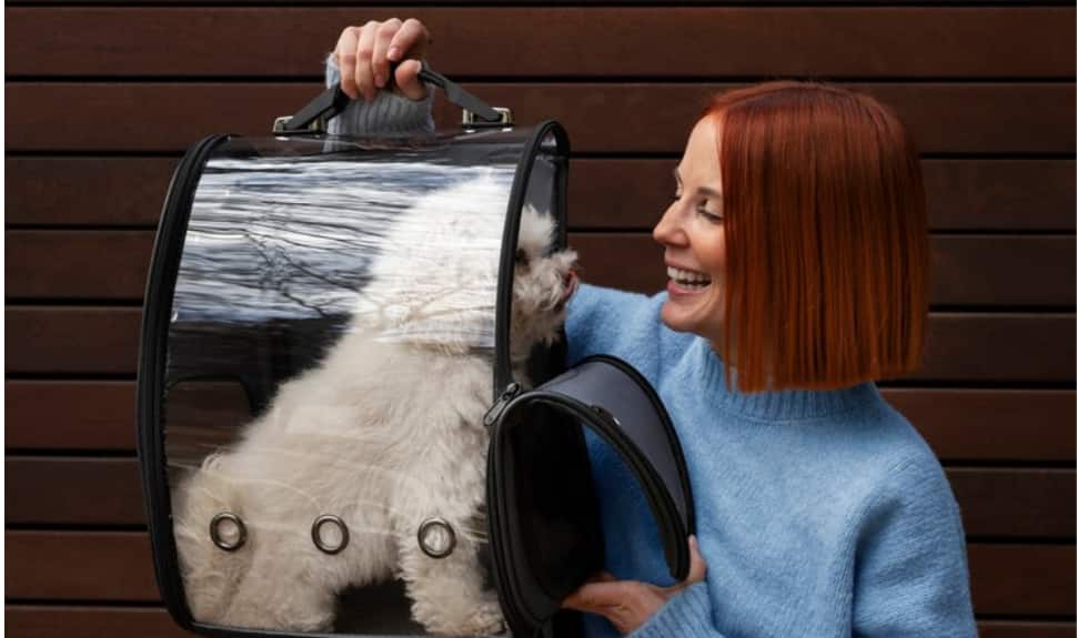The Ultimate Pet Travel Companion: Best Pet Carrier Bags for Travel