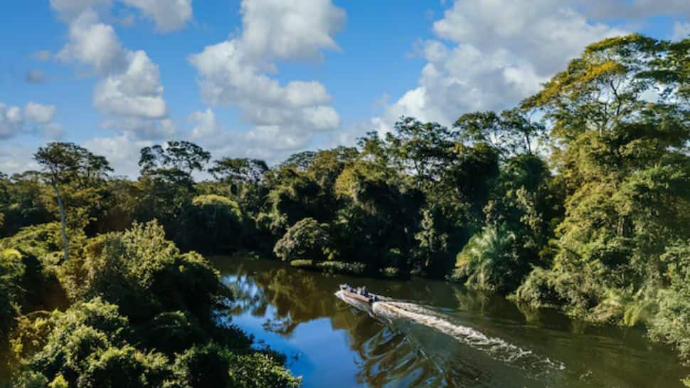 This River Passes Through 9 Countries: Distance Equal To New York To ...
