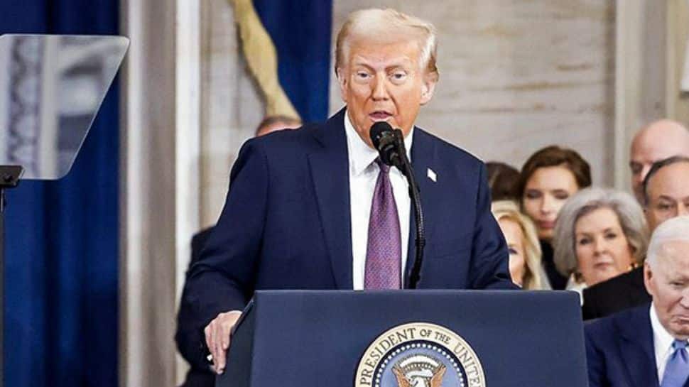Mexico Blocks US Deportation Flight Amid Tensions Over Trump’s Immigration Policies | World News