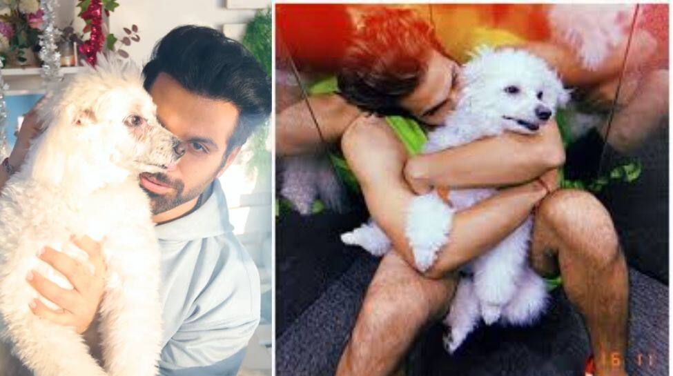 Rithvik Dhanjani