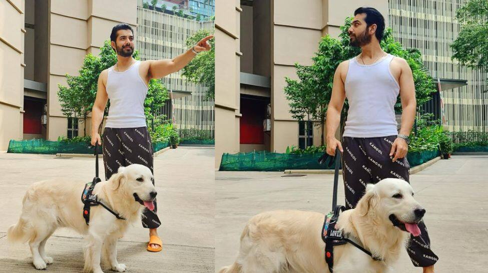 Sharad Malhotra
