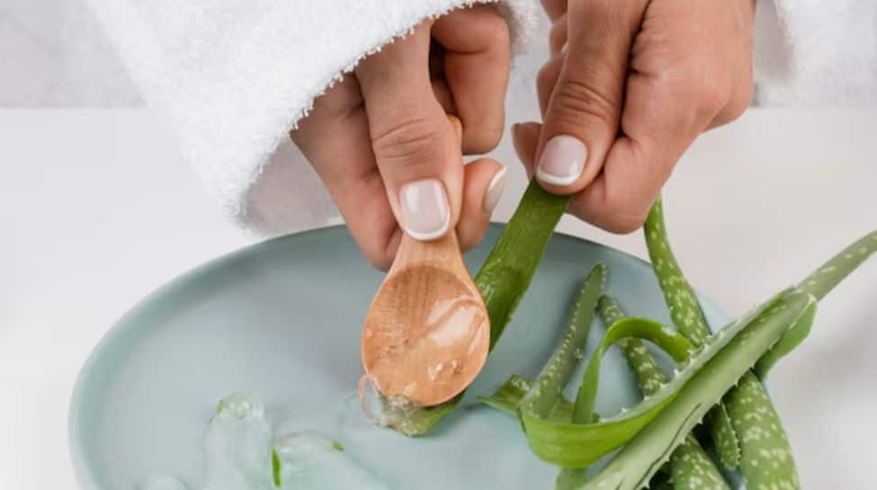 Aloe Vera: Your Ultimate Guide To Healing, Hydrating, And Glowing Skin