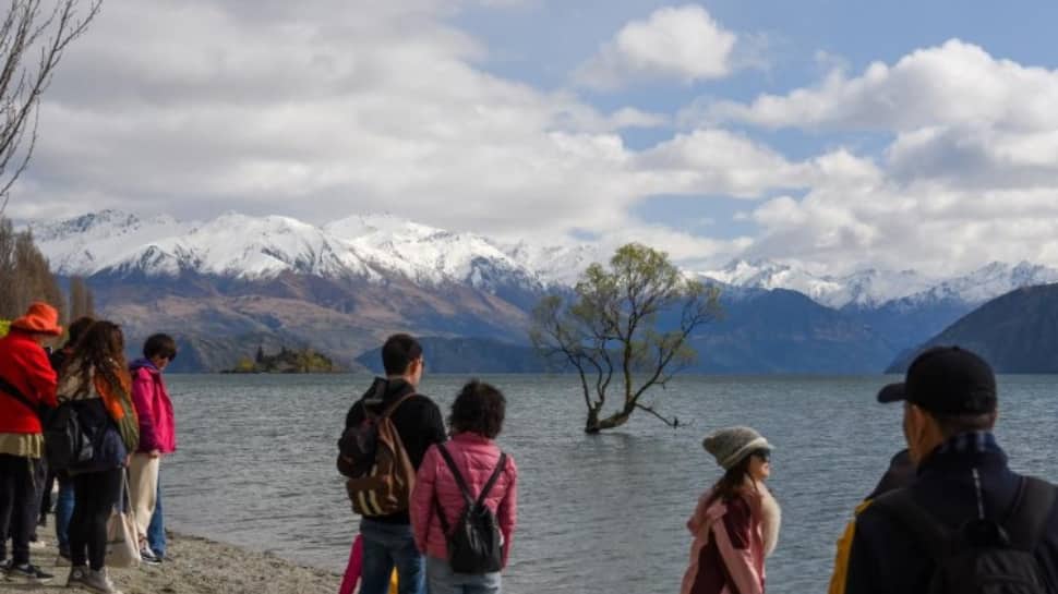 Workcation In New Zealand: New Visa Rules Allow Tourists To Work Remotely For Foreign Employers | World News  zeenews.india.com