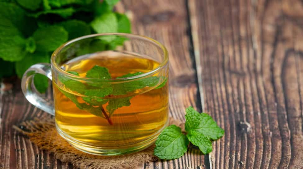 Green Tea and Mint Infusion Green Tea and Mint Infusion
