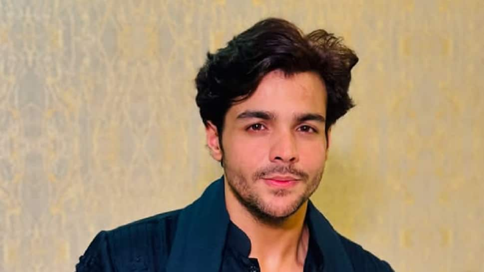 Ashish Chanchlani Calls Out A Rude Attitude Of A Bollywood Actress; Regrets Shooting With Her