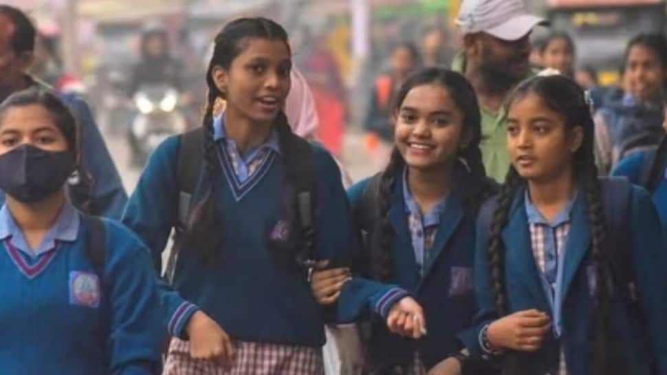 Delhi School Holidays Govt Announces Holiday On February 5 Due To