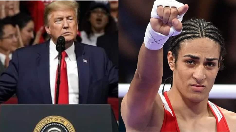 ‘War Is Over’: Trump Signs Order Banning Transgender Athletes From Women’s Sports Months After Imane Khelif’s Olympic Medal Row | World News  zeenews.india.com