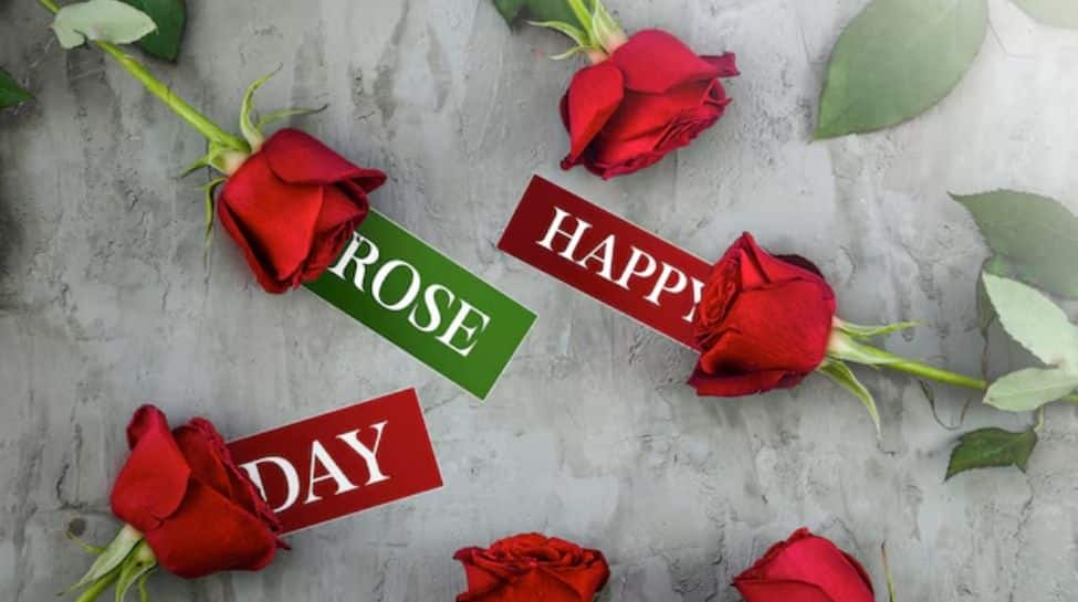 Happy Rose Day 2025: WhatsApp Wishes, Greetings, Messages, Images To Share With Your Loved Ones