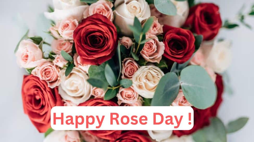 Rose Day 2025: The Meaning Behind Different Rose Colours And What They Symbolize In Love