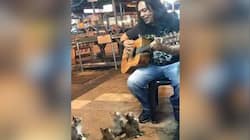 Ever Seen Cat Vibbing The song? Street Singer Wins Kitten Heart - Watch