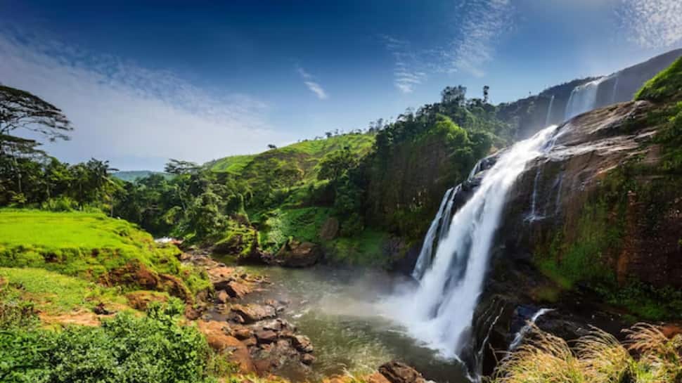 Coorg (Karnataka) 