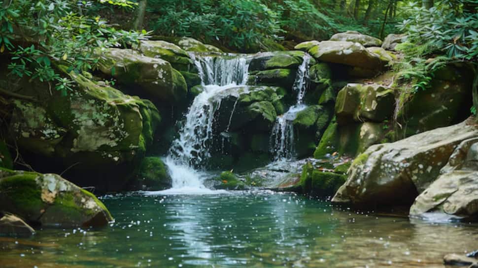 Mawlynnong (Meghalaya) 