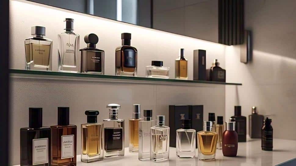 Cologne Craze: Score Big on Men's Fragrances at the Fashion Carnival Sale Cologne Craze: Score Big on Men's Fragrances at the Fashion Carnival Sale