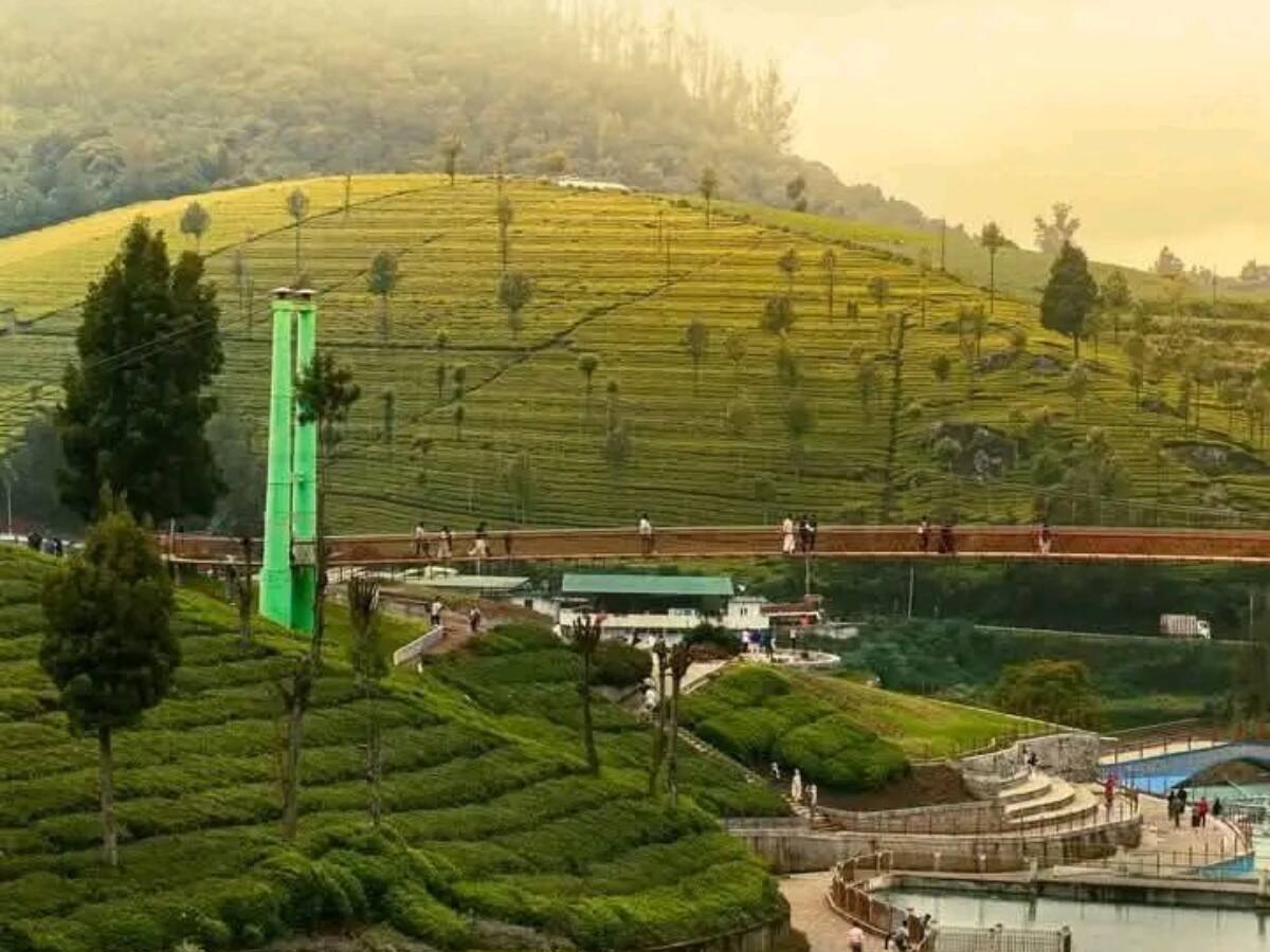 Ooty, Tamil Nadu