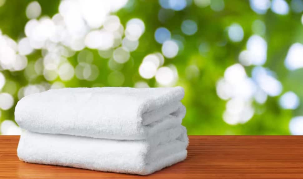 Wrap Up in Style: Top 4 Towels to Grab During Myntra's Fashion Carnival Sale