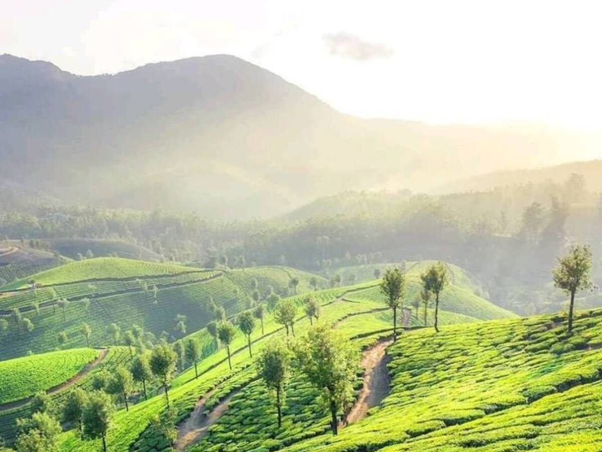 Coonoor, Tamil Nadu
