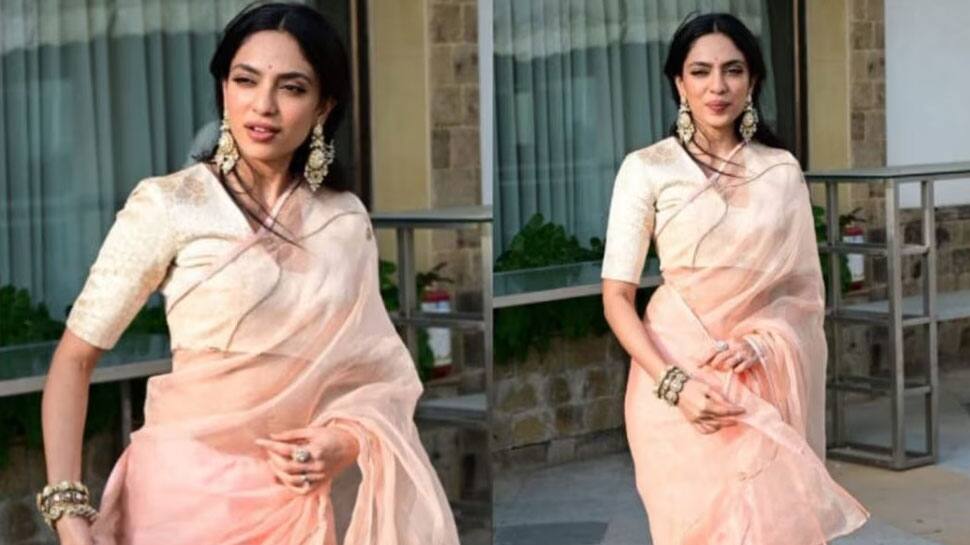 Blush Pink Organza Saree