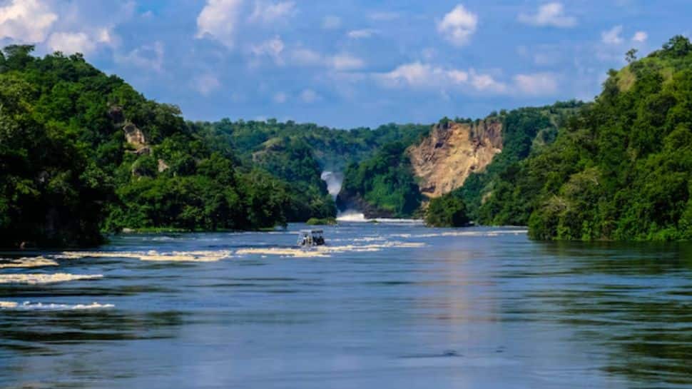 India Popular Rivers Top 10 Largest And Longest Rivers In India: Essential Waterways That ...
