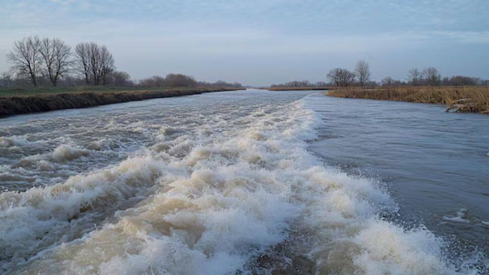 India Popular Rivers Top 10 Largest And Longest Rivers In India: Essential Waterways That ...