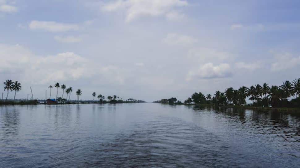 The Godavari River