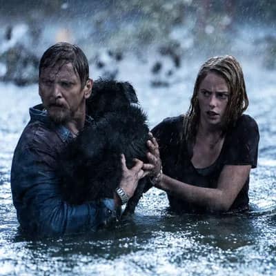 Crawl (2019)