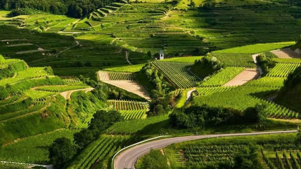 Coorg