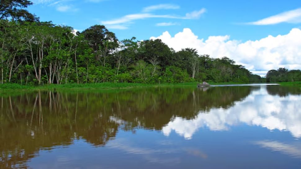 Amazon River (South America)