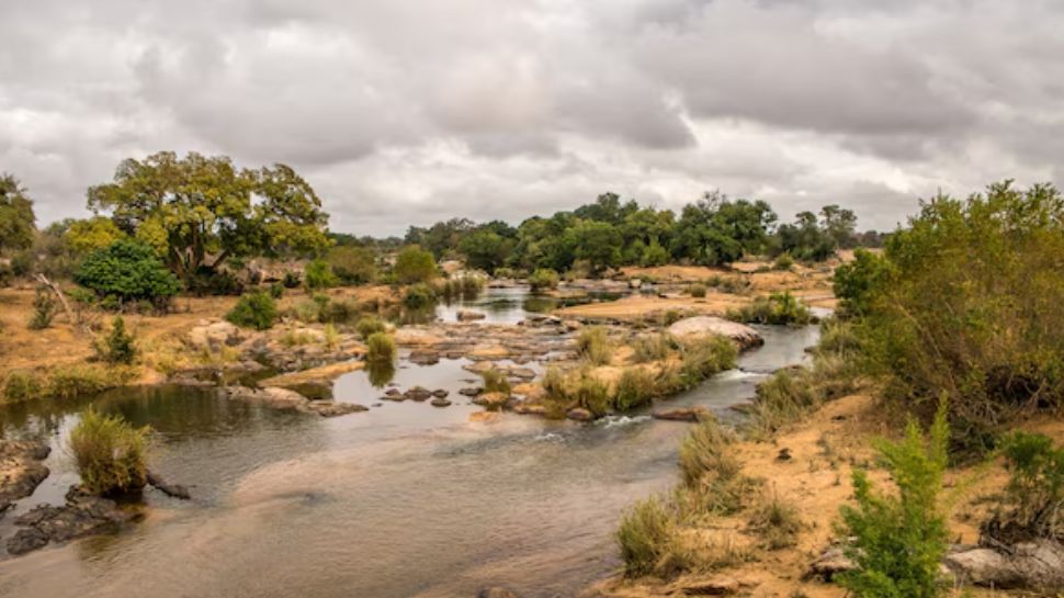 Limpopo River (Africa)