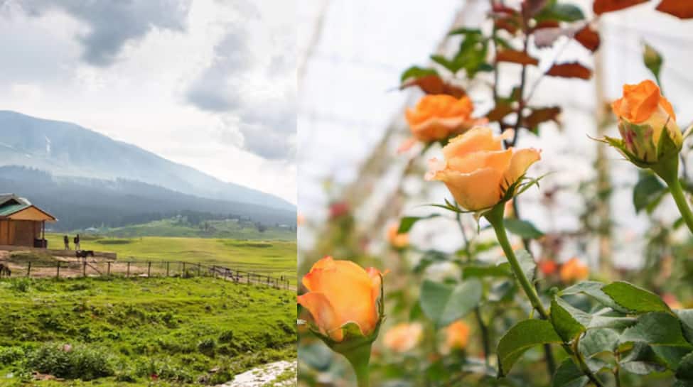Top 5 Cities To Explore This February