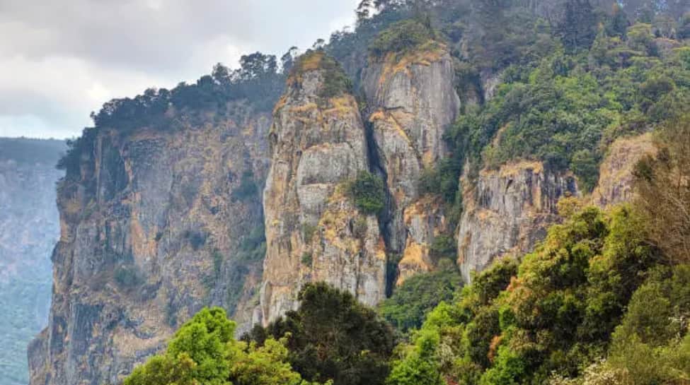 Kodaikanal, Tamil Nadu – A Serene Escape into Nature