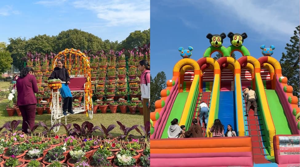 Chandigarh – A Blooming Delight at the Rose Festival