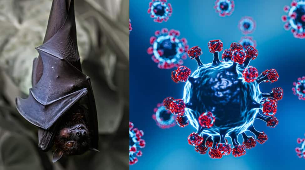 New Covid Variant To Hit Again? Bat Coronavirus Mutation Discovered In China; Raises Alarm About Another Pandemic