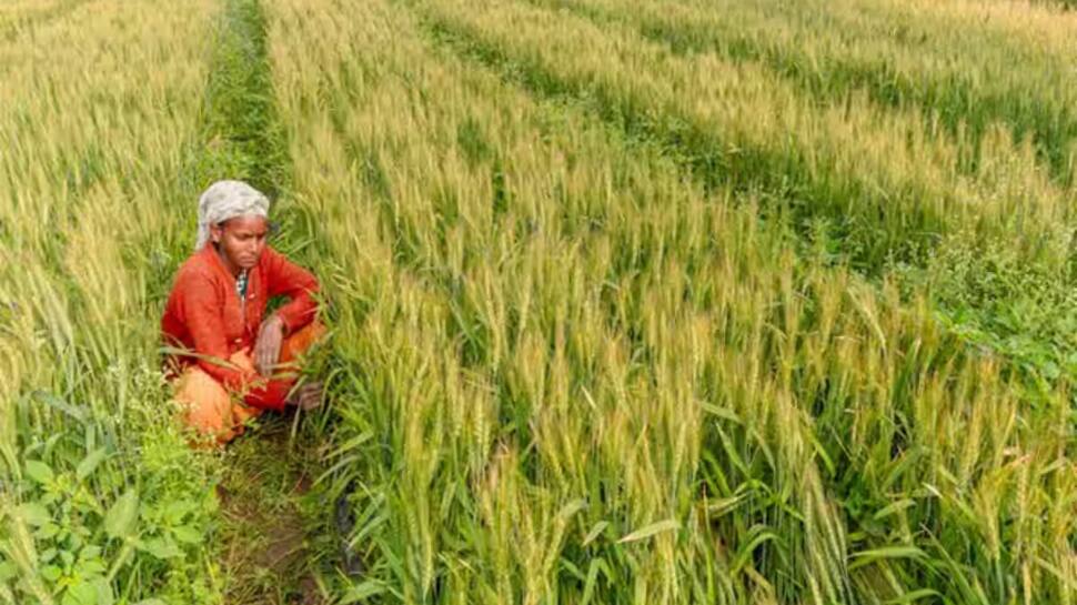 PM-Kisan 19th Installment