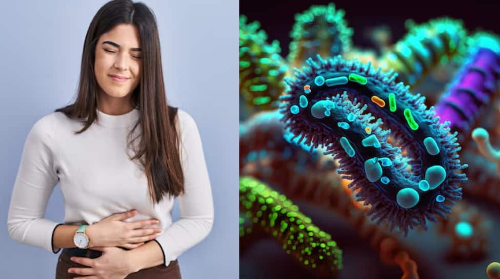 Study Reveals How Gastric Bacteria Leakage Triggers Stomach Cancer Progression
