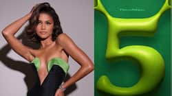 SHREK 5: Zendaya Joins The Swampy Family Saga - Guess Her Role!