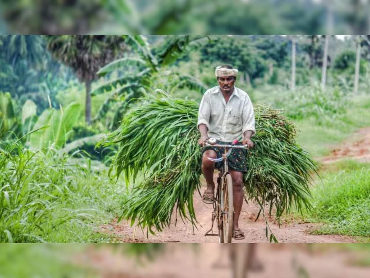 30 Lakh Farmers Come On Board Centres FPO Scheme To Boost Earnings