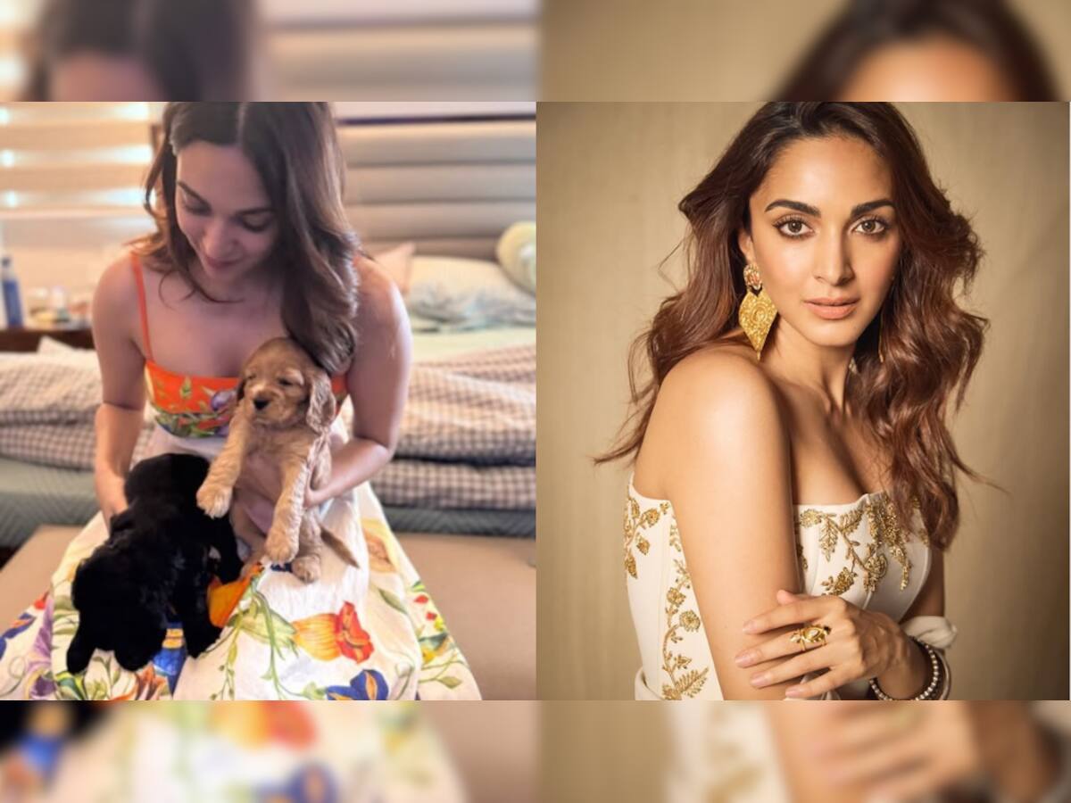 Mom-to-Be Kiara Advani Shares Adorable Moment With Puppies, Flaunts Her Pregnancy Glow – See Pic