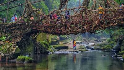 Meghalaya 