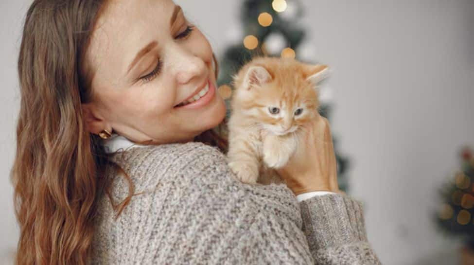 Bizarre! UP Woman Saves Her Dead Cat For Two Days, Then Kills Herself