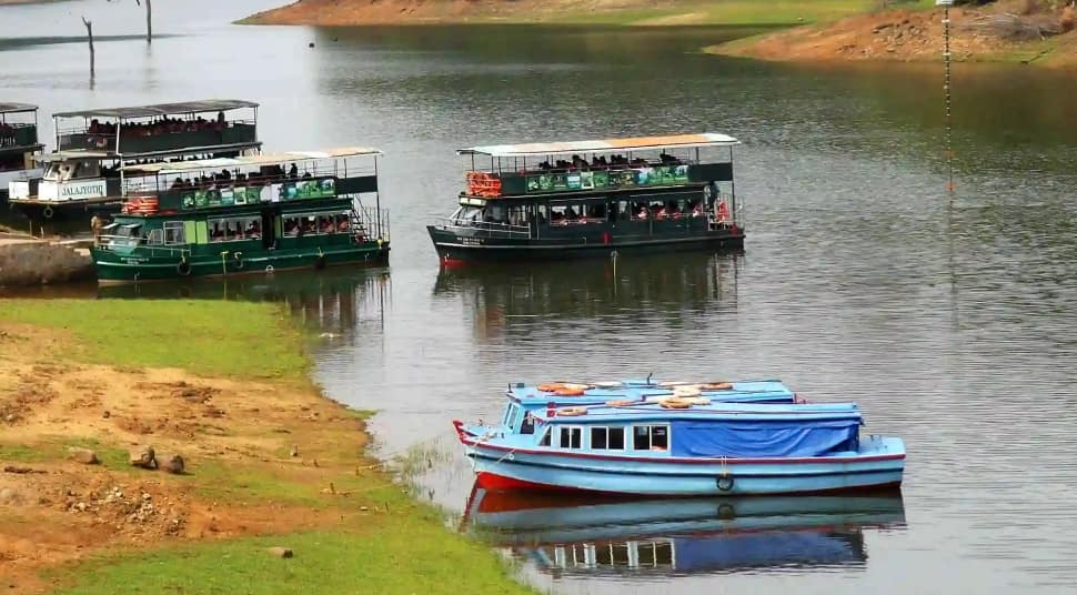 6. Periyar Wildlife Sanctuary, Kerala