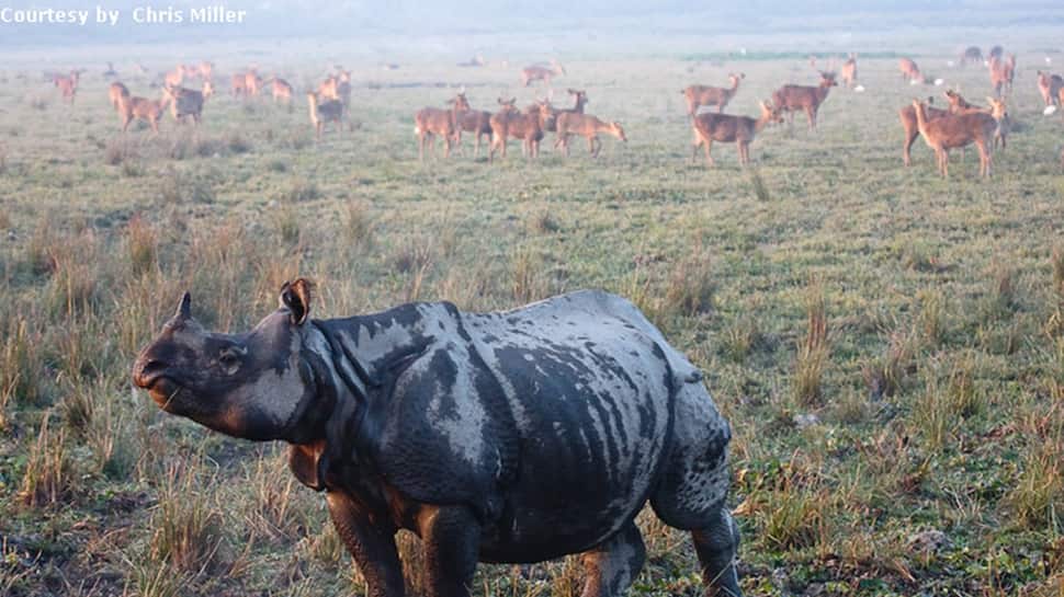 3. Kaziranga National Park, Assam