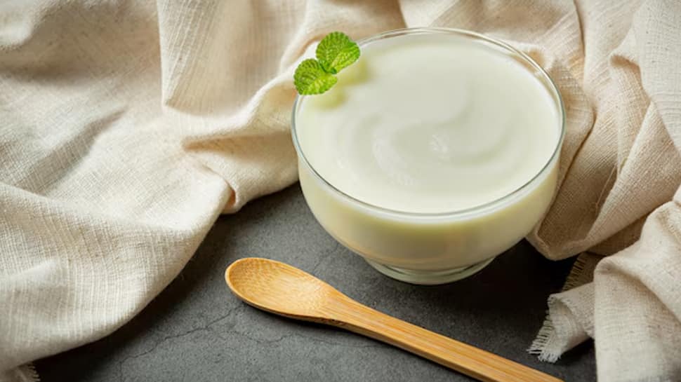 Yogurt 