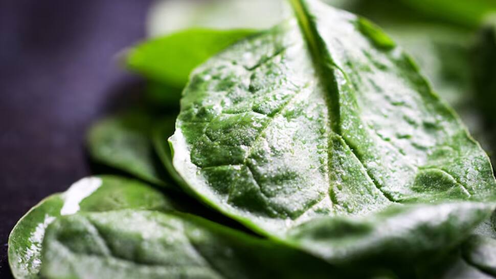 Spinach 