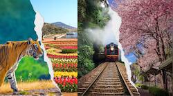 Srinagar To Coorg: 7 Must Visit Spring Destinations In India