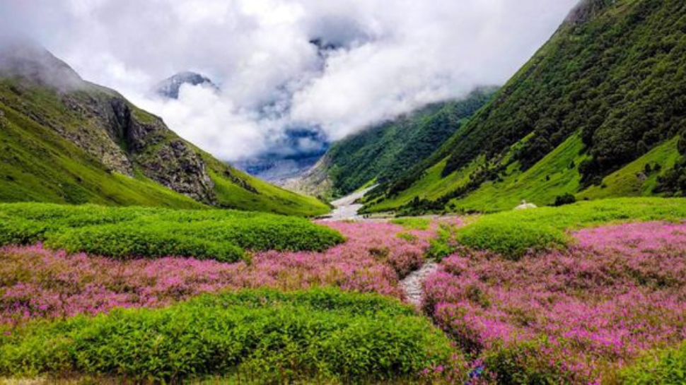 Valley of Flowers, Uttarakhand