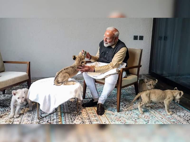PM Modi's Stunning Pics With Wild Animals - Check | News | Zee News