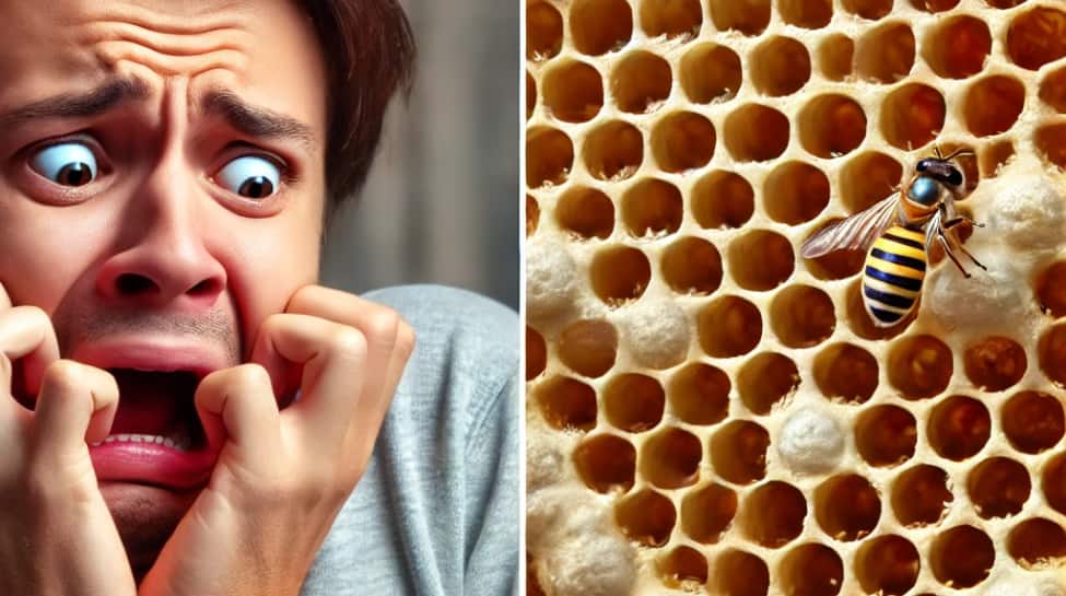  Trypophobia: Fear of Closely Packed Holes 