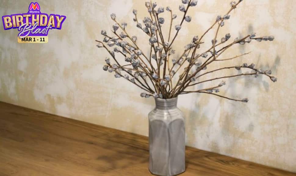 Myntra Birthday Blast Sale: Up to 70% Off on Beautiful Flower Vases